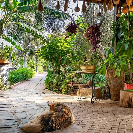 Osman Aga Culture House דירה פמגוסטה