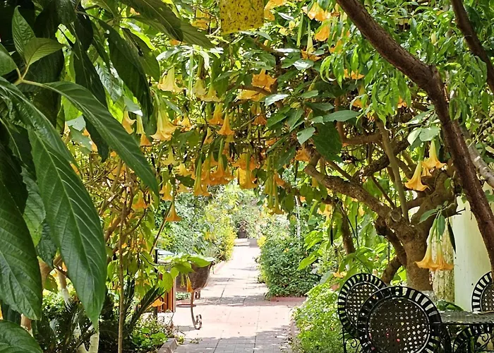 Osman Aga Culture House דירה פמגוסטה