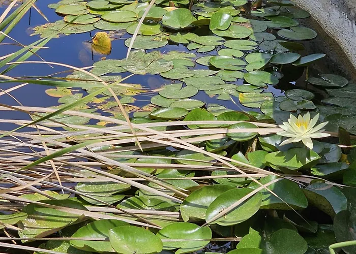 דירה Osman Aga Culture House