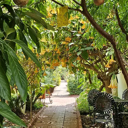 Osman Aga Culture House Lejlighed Famagusta (Northern Cyprus)