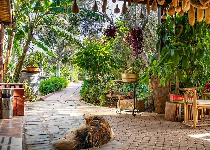 Osman Aga Culture House Apartmán Famagusta (Northern Cyprus)